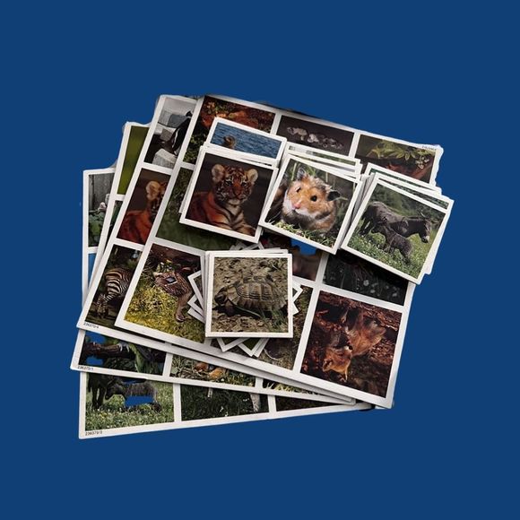 Vintage 1983 Baby Animal Lotto Memory Matching Game Ravensburger - Picture 3 of 3